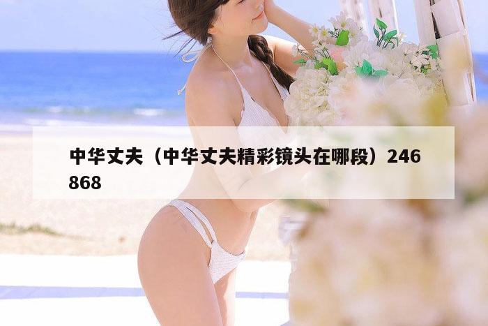 中华丈夫（中华丈夫精彩镜头在哪段）246868